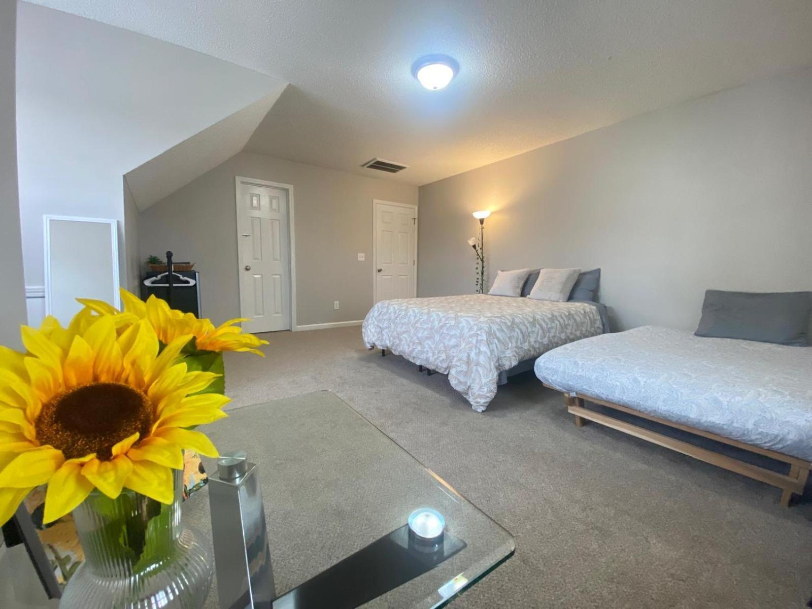 Private Room & Bathroom Close To Downtown Raleigh Exterior photo